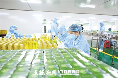 貴州油茶: 精深加工突圍 帶動全產業鏈升級