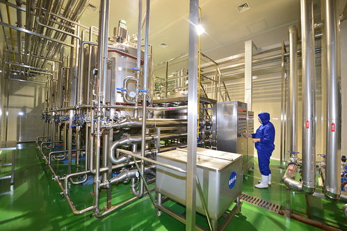 山東榮成市金槍魚深加工膠原蛋白肽成新寵