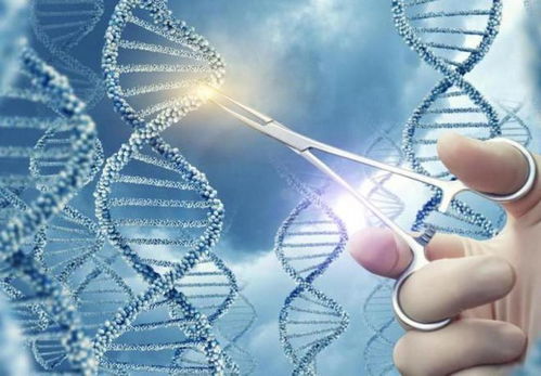 逆轉(zhuǎn)衰老技術(shù)最新突破,貝索斯200億投資引領(lǐng)下一代延長(zhǎng)壽命工藝