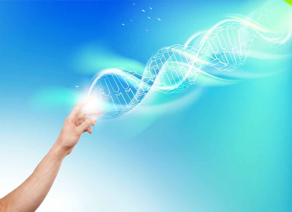 黃石市艾恩斯生物科技公司簡介