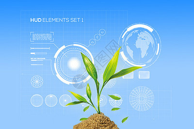 生物學突觸圖片