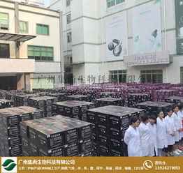 上?；瘖y品oem 集尚生物化妝品oem 化妝品oem代加工